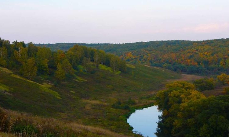 Эко.дачи