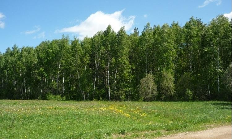 Эрфолг