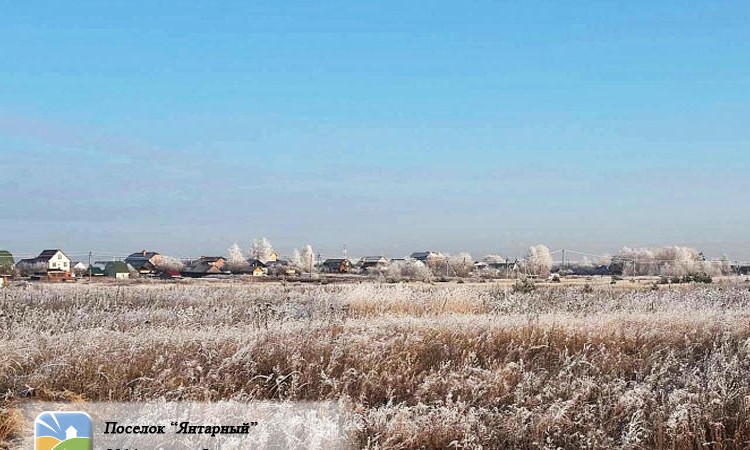 Янтарный