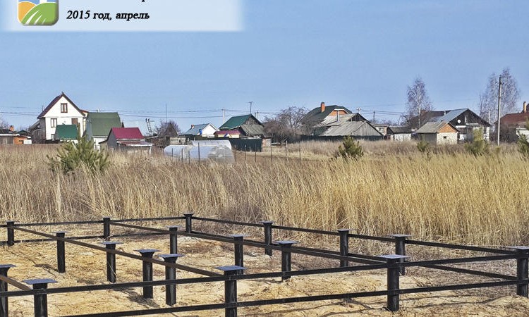 Янтарный