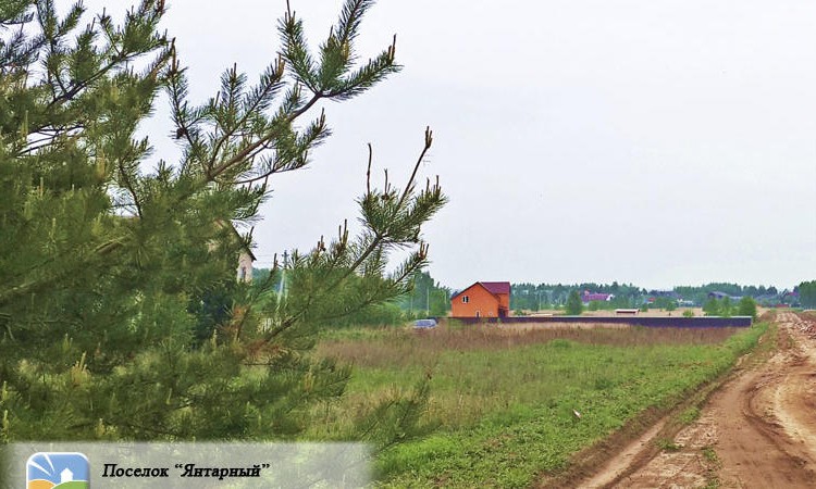 Янтарный