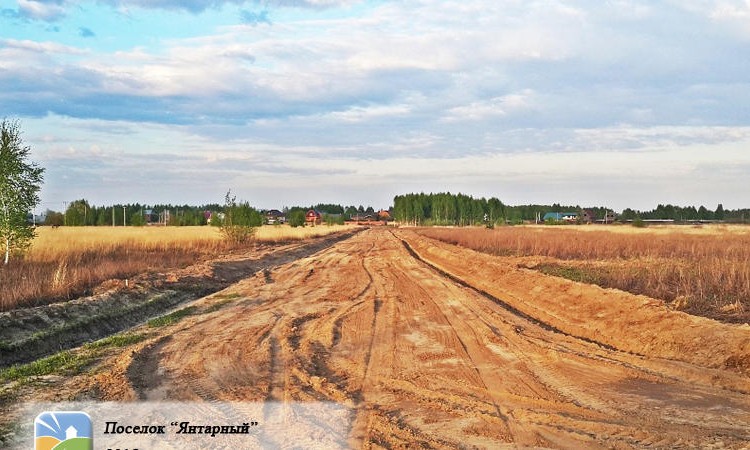 Янтарный
