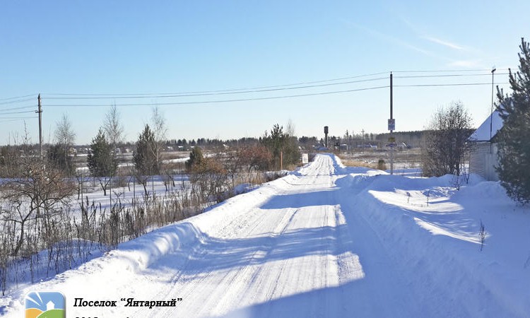 Янтарный