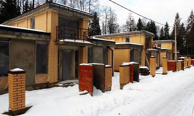 Янтарный лес