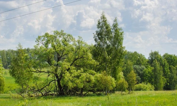Ясногорье