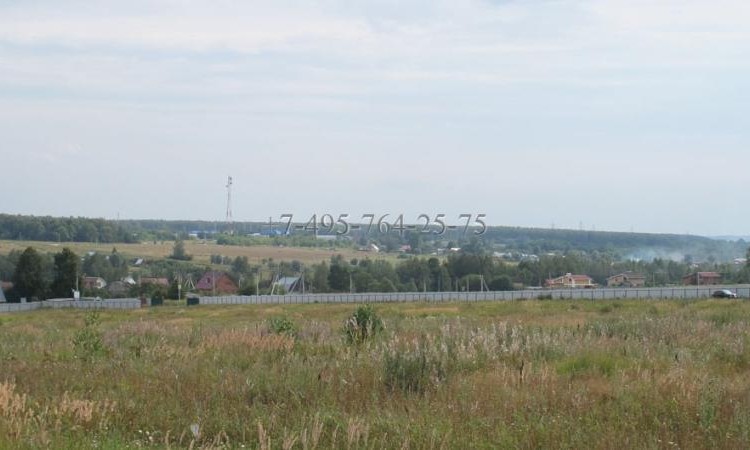 Ящерки