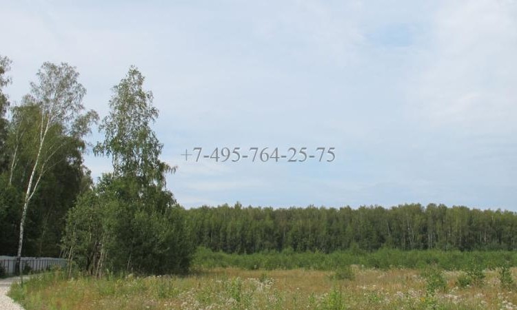 Ящерки