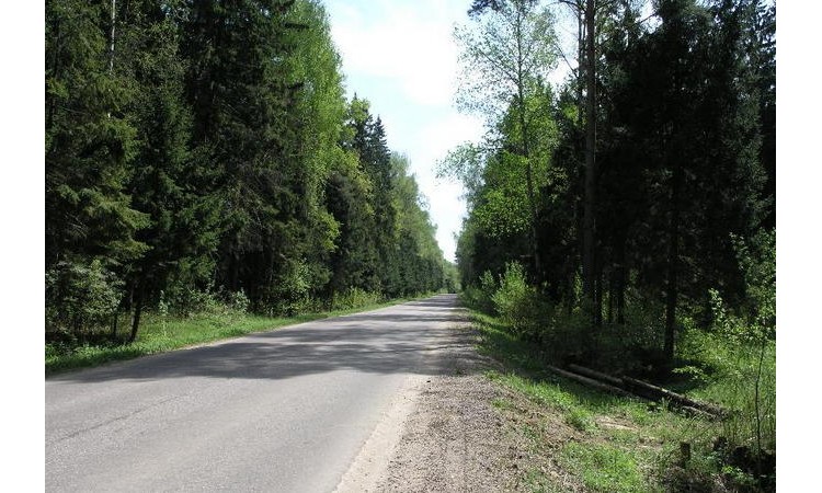 Раздолье (Пушкинский район)